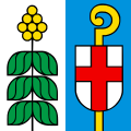 Flag of Mezzovico-Vira