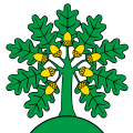 Bandiera di Montanaire