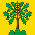 Bandiera di Monthey
