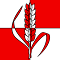 Bandiera di Montilliez