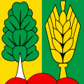 Flag of Müntschemier