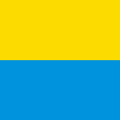 Flag of Muzzano