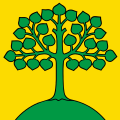Drapeau de Neuheim