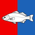 Drapeau de Nyon