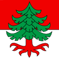 Fahne von Ochlenberg
