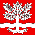Flag of Oeschenbach