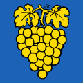 Flag of Perroy