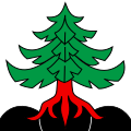 Bandiera di Pohlern