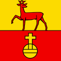 Fahne von Remetschwil