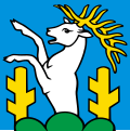 Flag of Reute (AR)