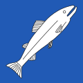 Fahne von Rheinau