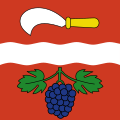 Drapeau de Rickenbach (ZH)
