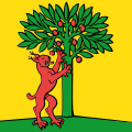 Drapeau de Risch