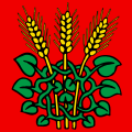 Fahne von Roggwil (BE)