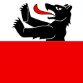 Fahne von Rütschelen