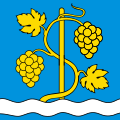 Fahne von Schinznach