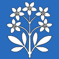 Flag of Schleinikon