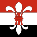 Flag of Schönenwerd