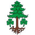 Fahne von Staldenried