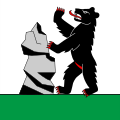 Drapeau de Stein (AR)
