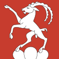 Fahne von Steinmaur