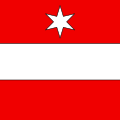 Flag of Täsch