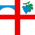 Fahne von Terre di Pedemonte