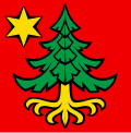 Bandiera di Trachselwald