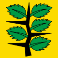 Flag of Wachseldorn