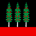 Bandiera di Wald (AR)