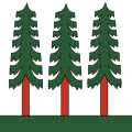 Drapeau de Wald (ZH)