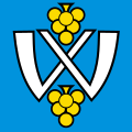 Bandiera di Walperswil