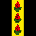 Fahne von Wetzikon (ZH)