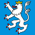 Bandiera di Wikon