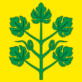 Bandiera di Winznau