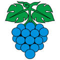Drapeau de Wynau
