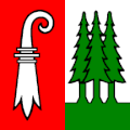 Fahne von Hochwald